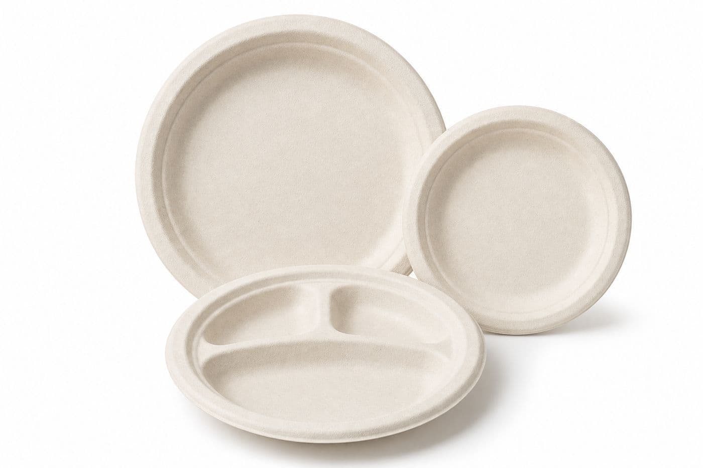 Bagasse Products